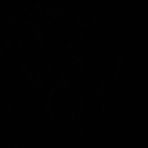 Meet your Posher, Landon